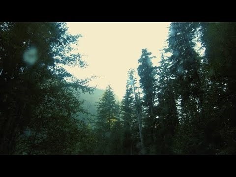 Nervous system regulation 