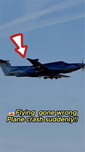 😨Flying gone wrong Plane crash suddenly!! #reelsfypシ #caught #airplane #viralpost #crash #planeaccident #reelsvideot #patriotism #usmilitary #usmilitary #spaceweather #military #freedom | Mary Hogan