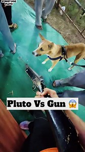 14K views · 708 reactions | Pluto vs Gun Game  | Street Dog Pluto | Facebook