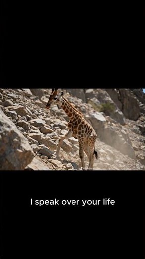 The Real Secret to Success (Motivational Video)