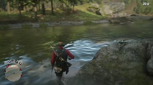 ultimate woodpecker location guide (see full description in comments)