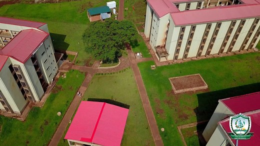 Dambi Dollo University is an institution that cultivates minds, strengthens communities, and empowers generations to flourish. | Dambi Dollo University