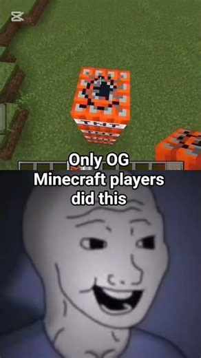 Only OG Minecraft players did this 🥹 #minecraft #shorts #2016