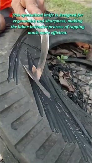 Precision Rubber Tapping