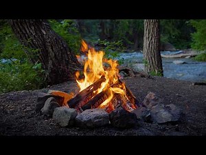 Relaxing Campfire Beside a Gentle River | 10 Hours of Authentic Nature Sounds & Stress Relief