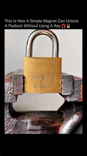 sci || tech || history on Instagram: "A strong magnet can defeat certain padlocks in seconds 🧲⚠️ Some lower-complexity locks use spring-loaded internal pins made from ferromagnetic metals. When a powerful magnet is placed on the lock, it can pull those pins upward, mimicking what the correct key is designed to do. Instead of rotating tumblers mechanically, the magnetic force bypasses the locking mechanism entirely, allowing the shackle to release without cutting, picking, or damage. This is why