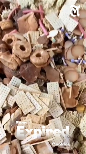 How China Recycles Expired Food #China #recycling #expiredfood | The MES Times