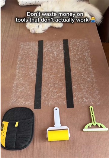 Effective Pet Hair Removal Tools for Pet Owners