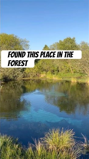 Amazing blue natural spring clear water in the forest #nature #spring #lake #forest #sacred