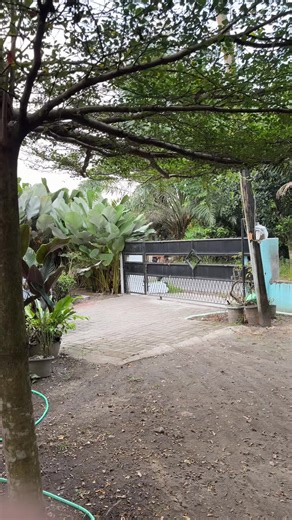 ada aja auladi ini | Velocity Edit