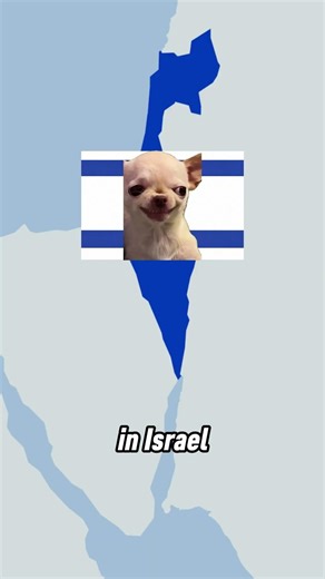 How Different are the World's Military Service Systems? #history