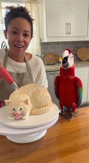 This funny parrot singing opera #opera #parrotopera #talent #parrottalking #funny #trendingshorts