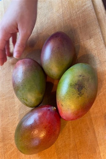 MangoPosen er tilbage 🥭🌟 Frisk og sød, med lysorange frugtkød, der er saftigt og smørblødt – mangoen er eksotisk og uimodståelig. Lyder det ikke lækkert? 😍 I MangoPosen får du min. 2 kg fantastisk mango, du kan bruge til alverdens søde og salte retter! Find dem via linket nedenfor👇🏼 https://www.aarstiderne.com/dagligvarer/frugt/eksotiske-frugter/mangoposen #aarstiderne #smagenafmere | Aarstiderne