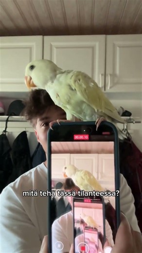 mitä tässä pitää tehdä? #shortvideo
