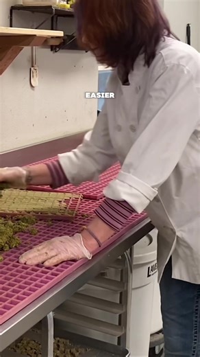 i promise i can make your rabbit's life so much cooler with healthy snacks #rabbits #rabbitsoftiktok