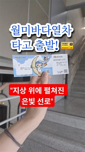 하늘 위에서 바다를 달리는 기차가 있다고?! 🚝🌊 인생 뷰 맛집 월미바다열차 실물 후기!​​#WolmiSeaTrain #Incheon #KoreaTravel #VisitKorea