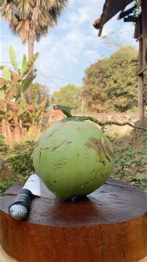 Perfect Soft Coconut Slice – So Satisfying! #cuttingskills #fruit