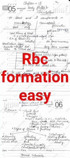 ,#formation of rbc #in easy language for #class 11 and# bsc