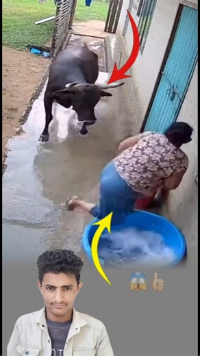 "حتاحين يدور الخطر بقوّته… يدور لطف الله بأعظم منها ليصرف السوء بعيدًا 😱👍🏻#youtubeshorts #viral