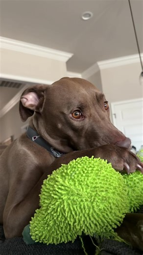 Is this normal 😅🤣