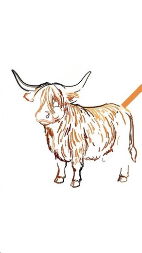 Highland Cow in 59 Seconds 🐂 | Python Generative Art