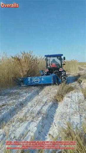 ワンパスで葦を束ねる：刈り取り、巻き取り、結束。圃場からベールまで、一回の走行で実現