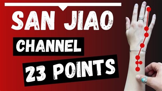 San Jiao Channel Meridian and its 23 Acupuncture Points (Functions Location) | AcuPro Academy