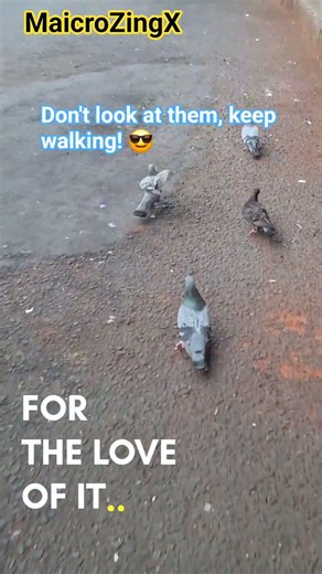 Senior squad vibes on the first day! 🐦😎 🎵 Cool Beat #shorts #school #seniors #freshers #funny #meme