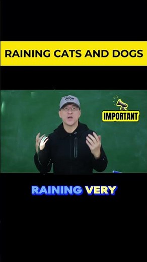 ST140｜Raining Cats and Dogs Explained