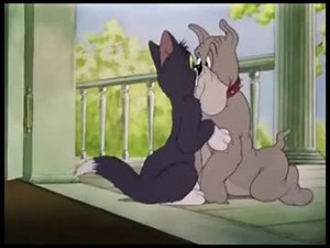 ホモと見るネズミネコ共闘詰め合わせ