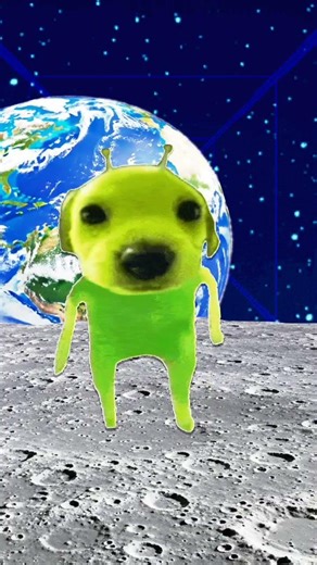 alien dog #memes