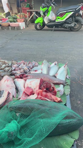 វីដេអូ​របស់ Pozz hea168 (@heanet238) ជាមួយ សំឡេងដើម - 💚ពេទ្យឌូ ពោធិ៍ទី💚