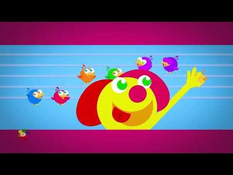 The KneeBouncers Show Promo