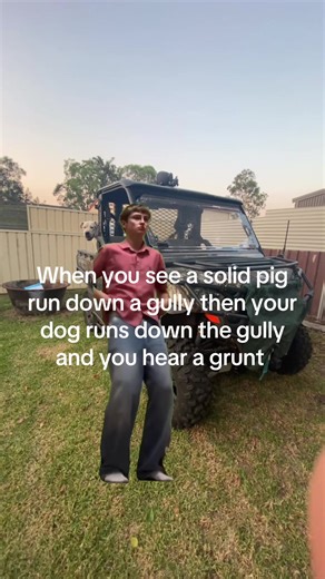 Exciting Pig Chase Adventures in Australia