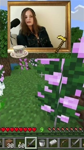 Killing some stuff - Minecraft Let's Play