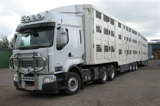 Bürger dürfen beim EU-Tierschutz mitentscheiden