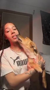 Hit my link https://t.co/uO039ksyk4#dognot #zoophile #dogknotting #k9girl #antizoophille #knotty #beastiality #antizoo #knot #doglover