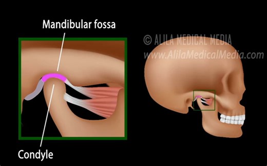 （中文字幕）3D动画演示颞下颌关节运动及关节盘移位原理