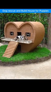 285K views · 10K reactions | Every puppy deserves a safe home  Would you adopt a rescue dog? #DogRescue #RescueDogs #PuppyLove #ForeverHome #AnimalRescue #DogLovers | Snaptv US | Facebook