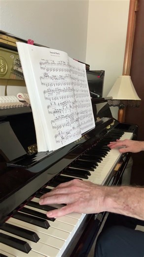 Chopin: Funeral March (excerpt) #piano #classicalmusic #chopin