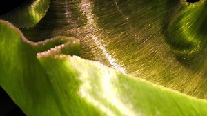 2.6K views · 4.4K reactions | ONE OF A KIND collection of GLASS ART from all over the world. | Imagine Museum | Facebook