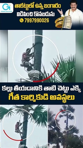 కల్లు తీయడానికి తాటి చెట్టు ఎక్కి | Firefighters Rescue Tapper Who Stuck On Palm Tree In Razole
