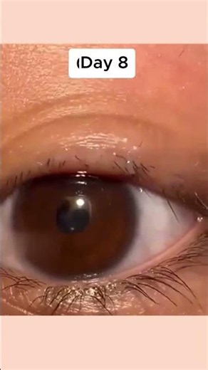 2026 Lash Trend Alert: Create The Next Viral Lash Serum Brand ✨ | OEM/ODM Beauty