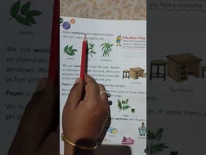 Class-2 Science Chapter-2, Second day (Plants-Our Green Friends) By-Sumitra miss