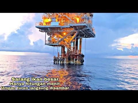 BERBAHAYA TERNYATA SARANG IKAN BESAR !! MANCING IKAN BESAR