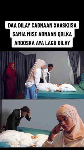 MANGO VIP STUDIO على TikTok