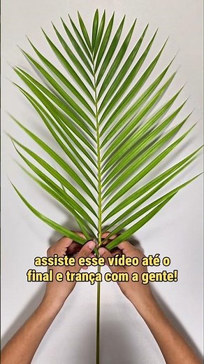 🌿 Let's learn how to braid the palm branches for Palm Sunday? #palmbranches #palmsunday #diy #hol...