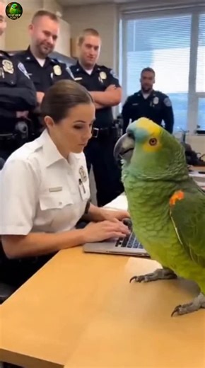 158K views · 10K reactions | Hilarious Lap vs Laptop Mix-Up | Parrot Roasts Female Officer 列 #parrot #funnyparrot #talkingparrot #officer #funnyvideos #trendingreels #parrotlover #petlovers #viralshort | Feather Force | Facebook