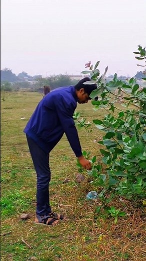 🥹SAS CINEMATIC VIDEO EDIT TUTORIAL 📸