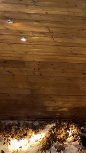 If you are looking for an unusual birthday present for a friend or planning a hen do, have you considered doing Pilates with pygmy goats? Our health features writer Debbie Clarke tried out the unique wellbeing experience - read more here: https://eu1.hubs.ly/H0cSGNX0 | The Courier UK